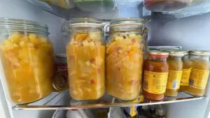 Kentucky Christmas Salad Recipe (Citrus Holiday Fruit)