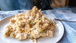 Slow Cooker Chicken and Dressing Recipe (Comforting Crock-Pot)