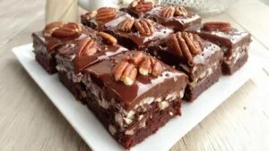 Nana’s Warm Mississippi Mud Cake Brownies Recipe (Classic Comfort)